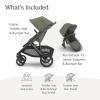 UPPAbaby Vista V3 Stroller + RumbleSeat V3 – Convertible Single-to-Double Stroller System- Toddler Seat, RumbleSeat Accessory, Adapters Included – Evelyn (Meadow Green/Graphite Frame/Chestnut Leather)