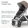UPPAbaby Vista V3 Stroller – Full-Size Single-to-Double Stroller System – Toddler Seat, Bug Shield, Rain Shield, and Storage Bag Included – Gwen (Green Mélange/Carbon Frame/Saddle Leather)(Theo (Dark Taupe))
