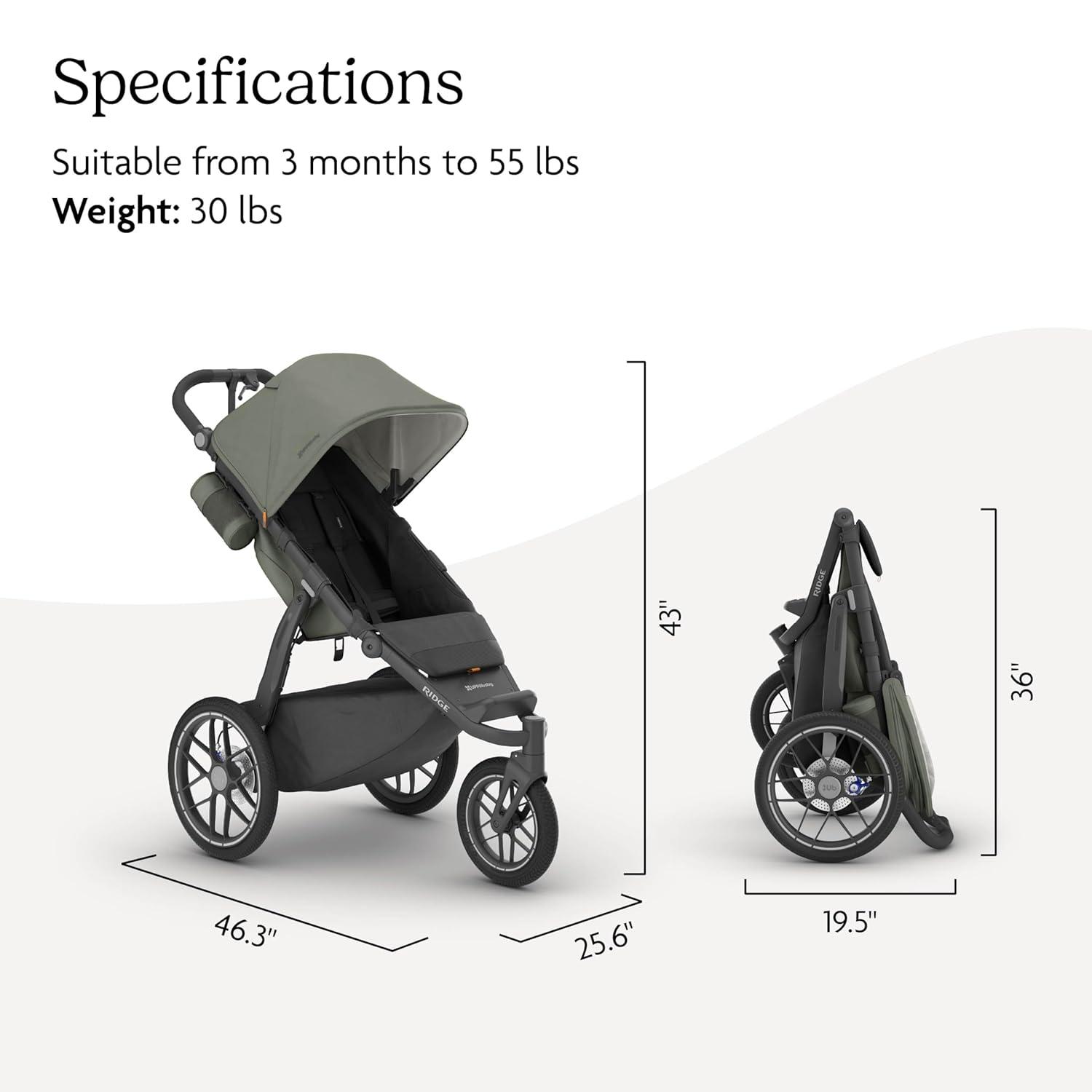 imageUPPAbaby Ridge Jogging Stroller AllTerrain Performance with Suspension NeverFlat Tires Built for Walking Running Trails Water Bottle Holder Included Savannah Pearl Grey Carbon FrameEvelyn Meadow Green