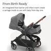 UPPAbaby Cruz V3 Stroller – from Birth + Car Seat Compatible – Full-Size, Reversible Seat – Infant Insert, Bug and Rain Shields Included – James (Black/Carbon Frame/Black Leather)(Greyson (Charcoal Mélange))
