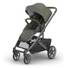 UPPAbaby Cruz V3 Stroller – from Birth + Car Seat Compatible – Full-Size, Reversible Seat – Infant Insert, Bug and Rain Shields Included – James (Black/Carbon Frame/Black Leather)(Evelyn (Meadow Green))