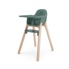 UPPAbaby Ciro V2 Baby High Chair – Adjustable, Easy to Clean – Anya(Betsy (Spruce Green))
